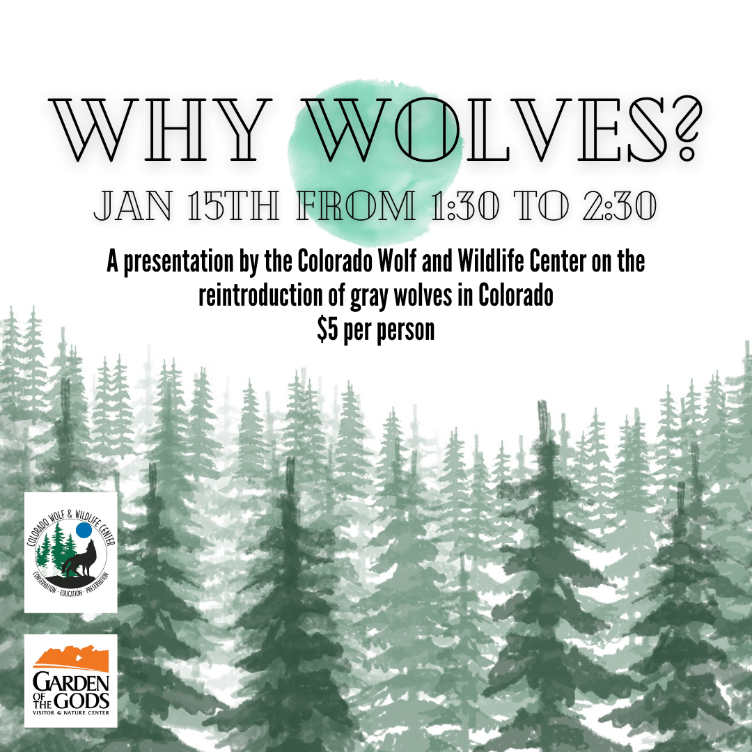 Why Wolves?