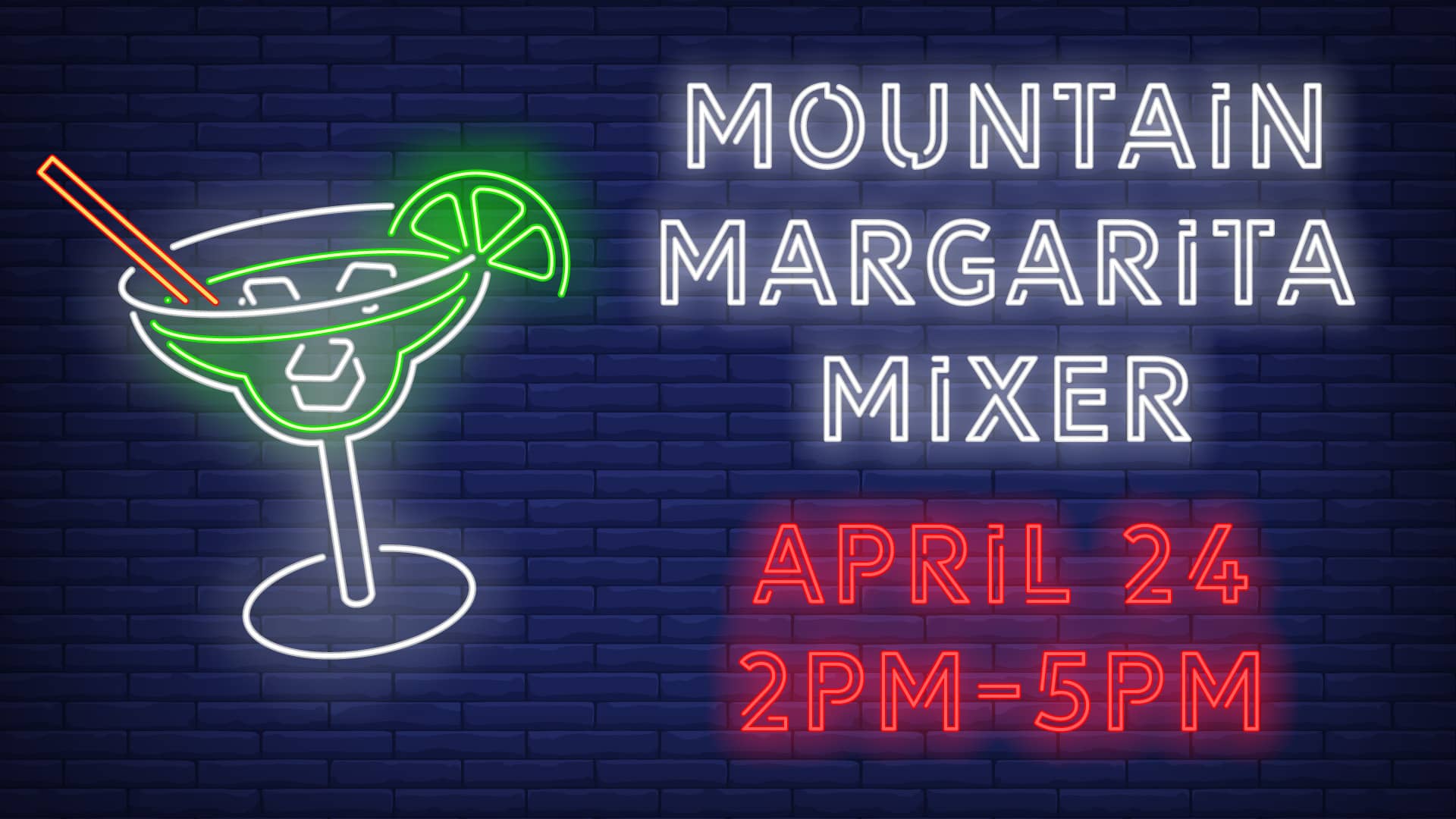 Margarita Mixer