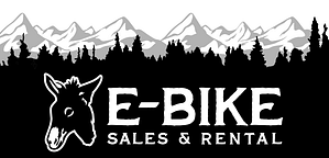 E-Bike Sales & Rental