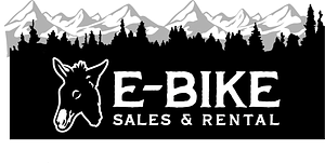 E_bike