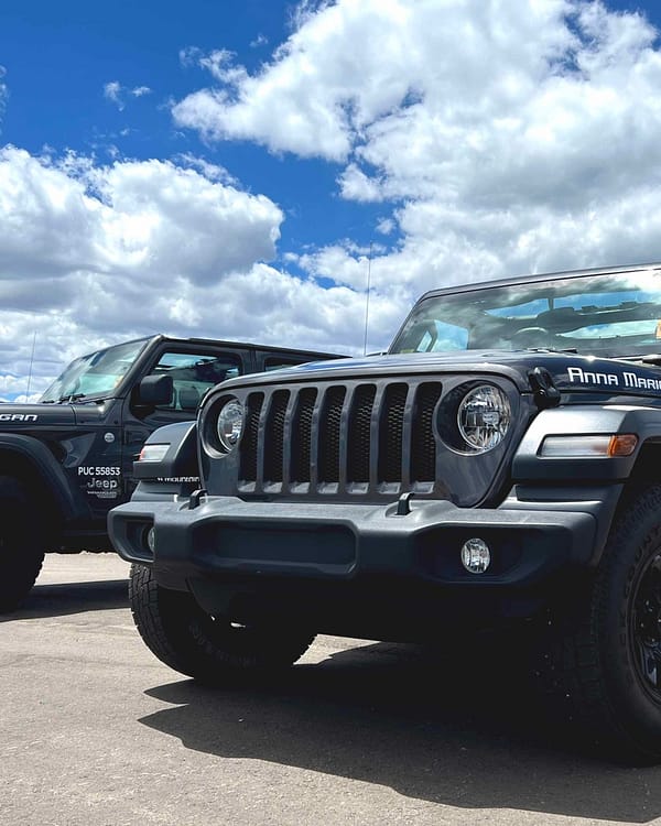 Jeeps