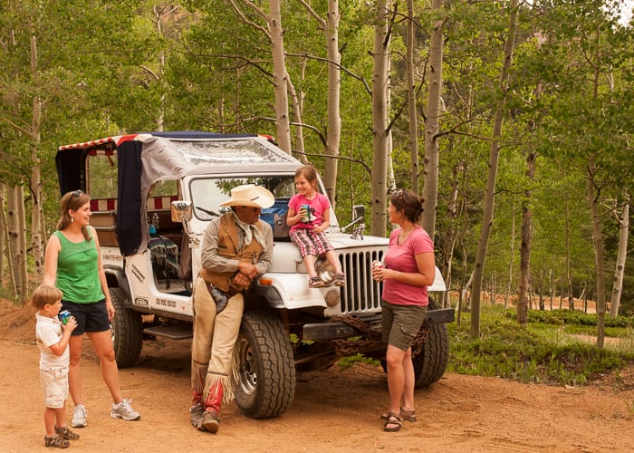 web-jeep drover kids trees