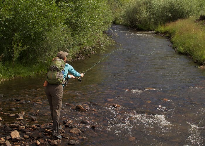 Angler's Covey - Colorado fly fishing Beaver Creek backcountry