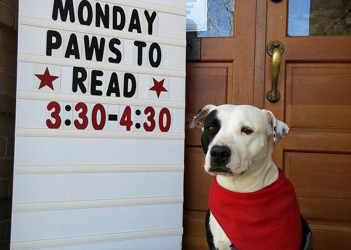 hero-library-paws-to-readPaws to Read
