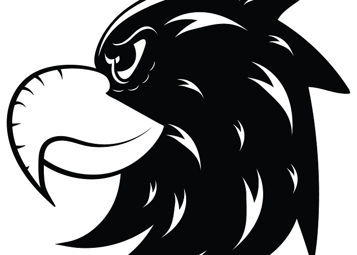 FalconHighSchoolMascot