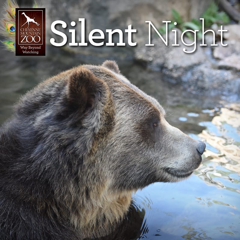 Silent Night