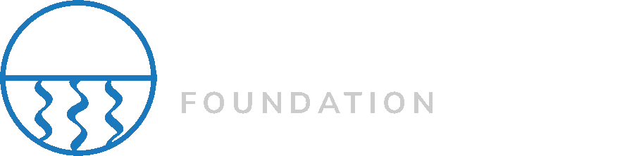 Mineral Springs Foundation